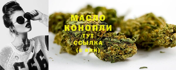 ешки Инта