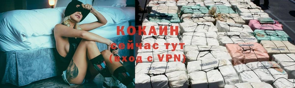 соль ск Алексеевка