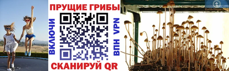 мега ТОР  купить наркоту  Бахчисарай  Псилоцибиновые грибы ЛСД 